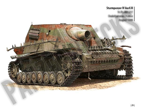 Combat History of Sturmpanzer-Abteilung 217 – J. J. F. Publishing